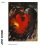 Jim Dine, Trembling for color (catalogue d'exposition)