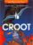 John Difool avant l'Incal, tome 3 : Croot