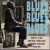 John Lee Hooker, Howlin' Wolf, Buddy Guy, Johnny Winter, Electric Flag..