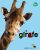 LA GIRAFE