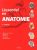 L'ESSENTIEL EN ANATOMIE (0000)