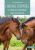 Langage corporel et signaux d'apaisement chez les chevaux: IDENTIFICATION ET APPLICATION