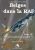 Les Belges Dans LA Raf: Tome 3, Albert Petrisse