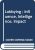 Lobbying: Influence, intelligence, impact. Comment les entreprises peuvent convaincre les décideurs politiques