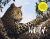 Lonely Planet's A-Z of Wildlife Watching – 1ed – Anglais