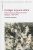 Protéger le jeune enfant: Enjeux sociaux, politiques et sexués (Belgique, 1890-1940)